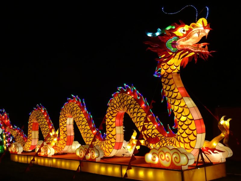 DIY Goldfisch-Laterne – Chinesische Neujahrslaterne Zum Basteln, Mit LED-Lichtern, Für Festdekoration