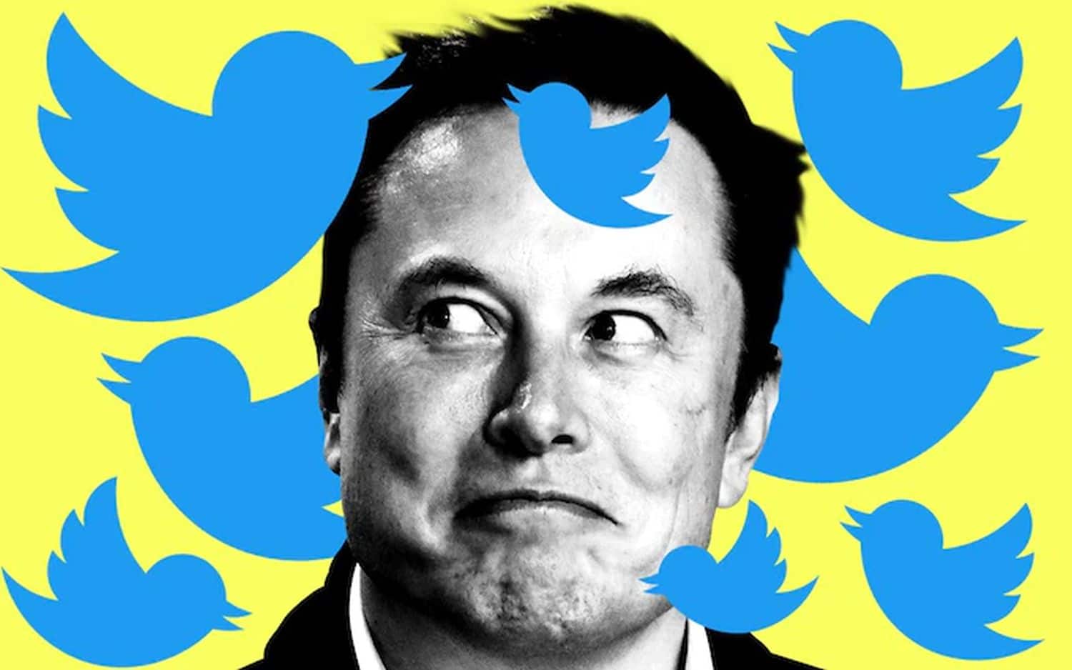 elon musk twitter