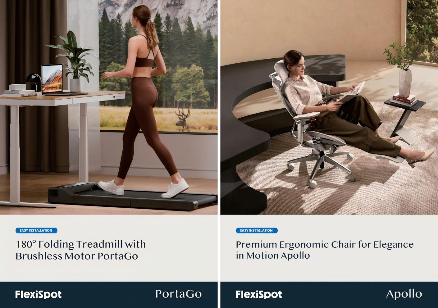 flexispot apollo und portago
