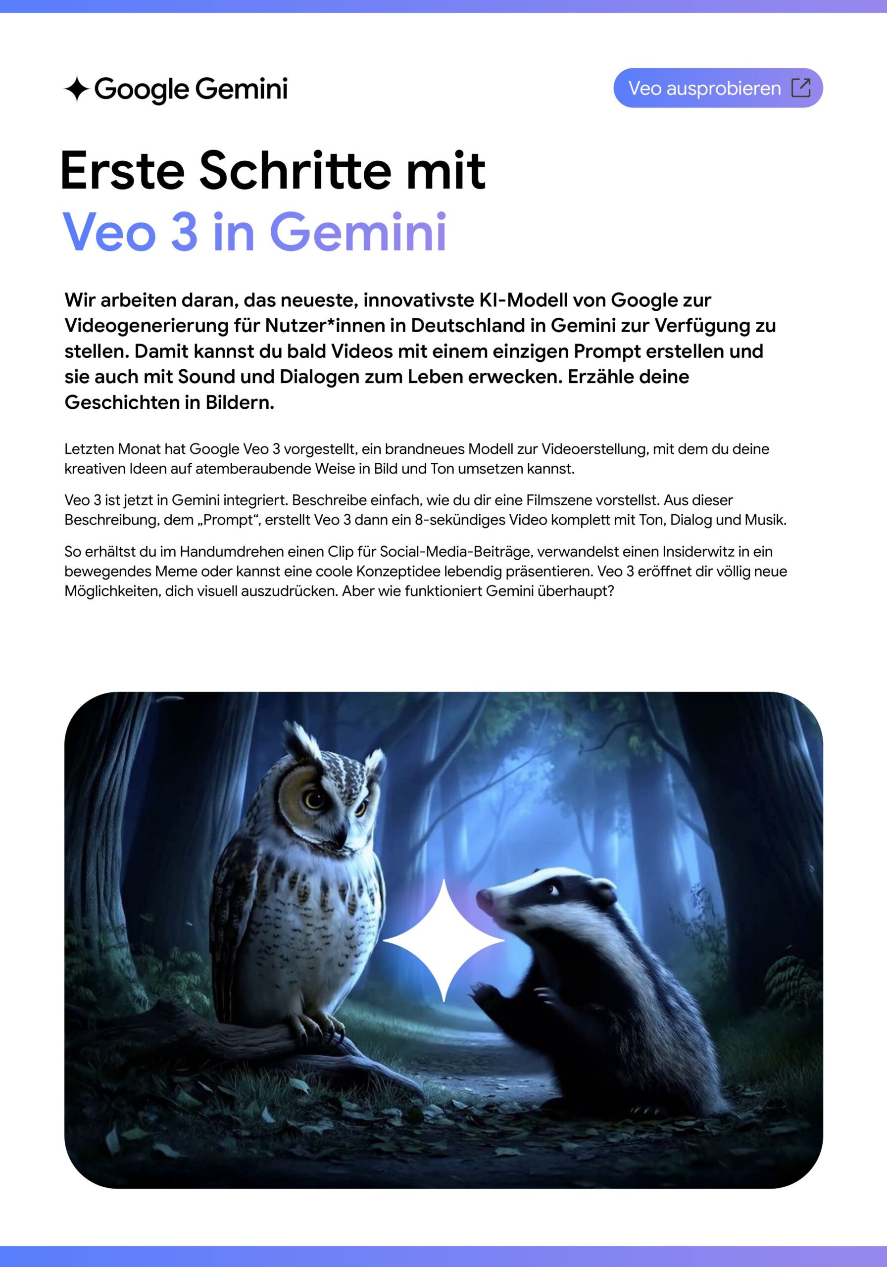 gemini veo onepager 1