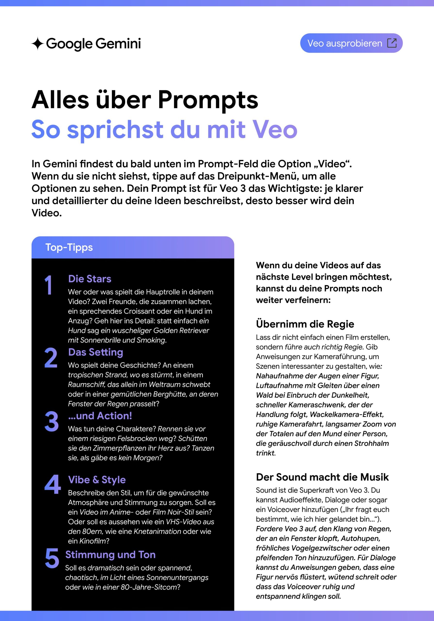 gemini veo onepager 2