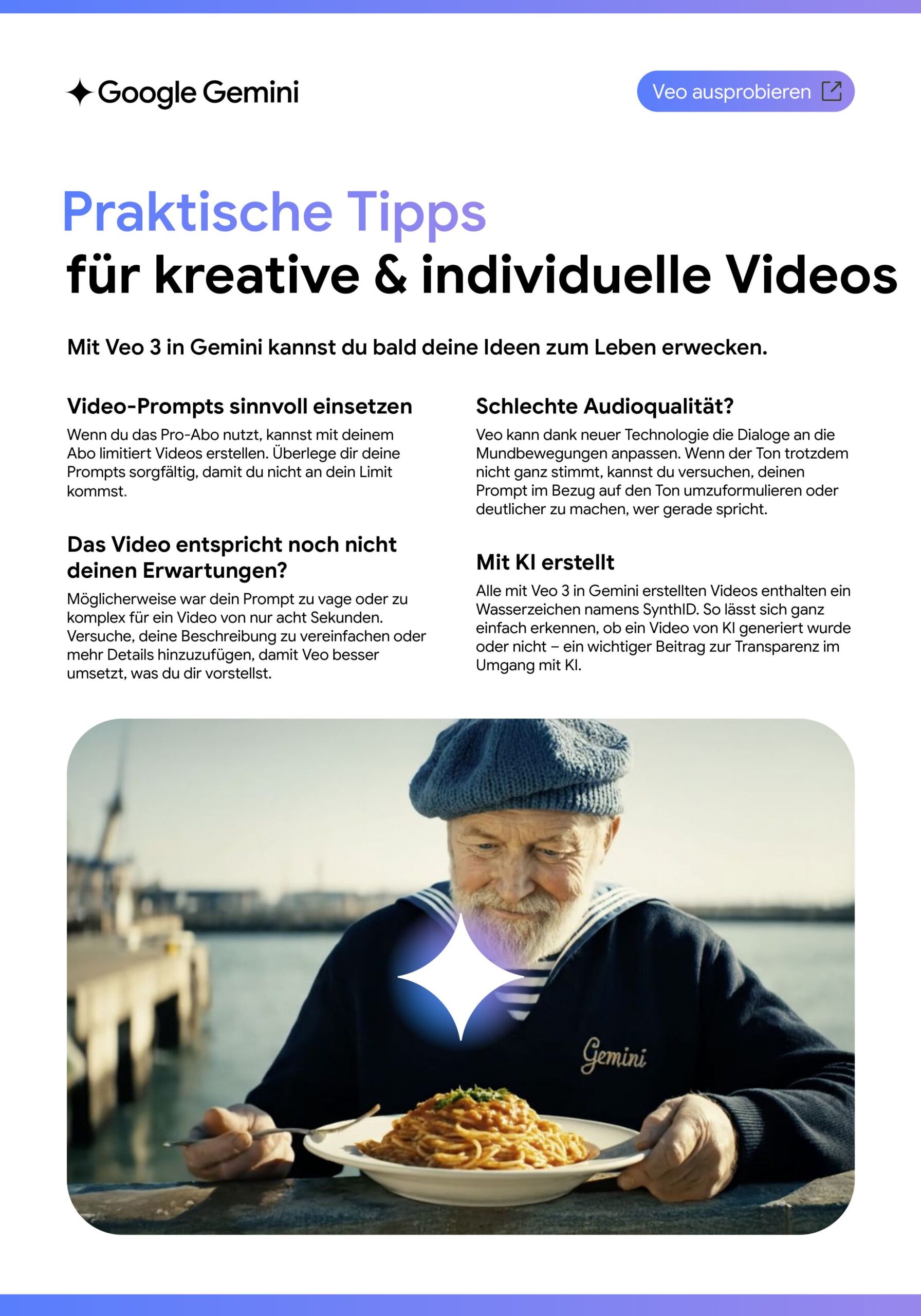 gemini veo onepager 3