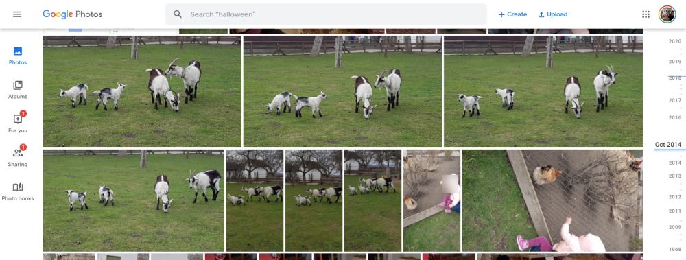 google fotos zeitstrahl