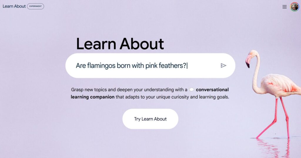 google learn about