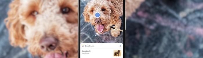 google lens