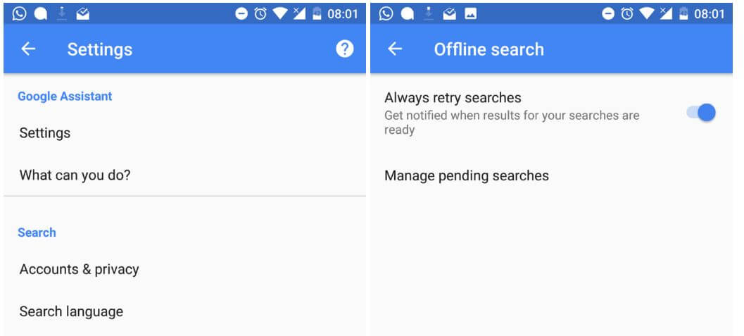 Google Search Offline