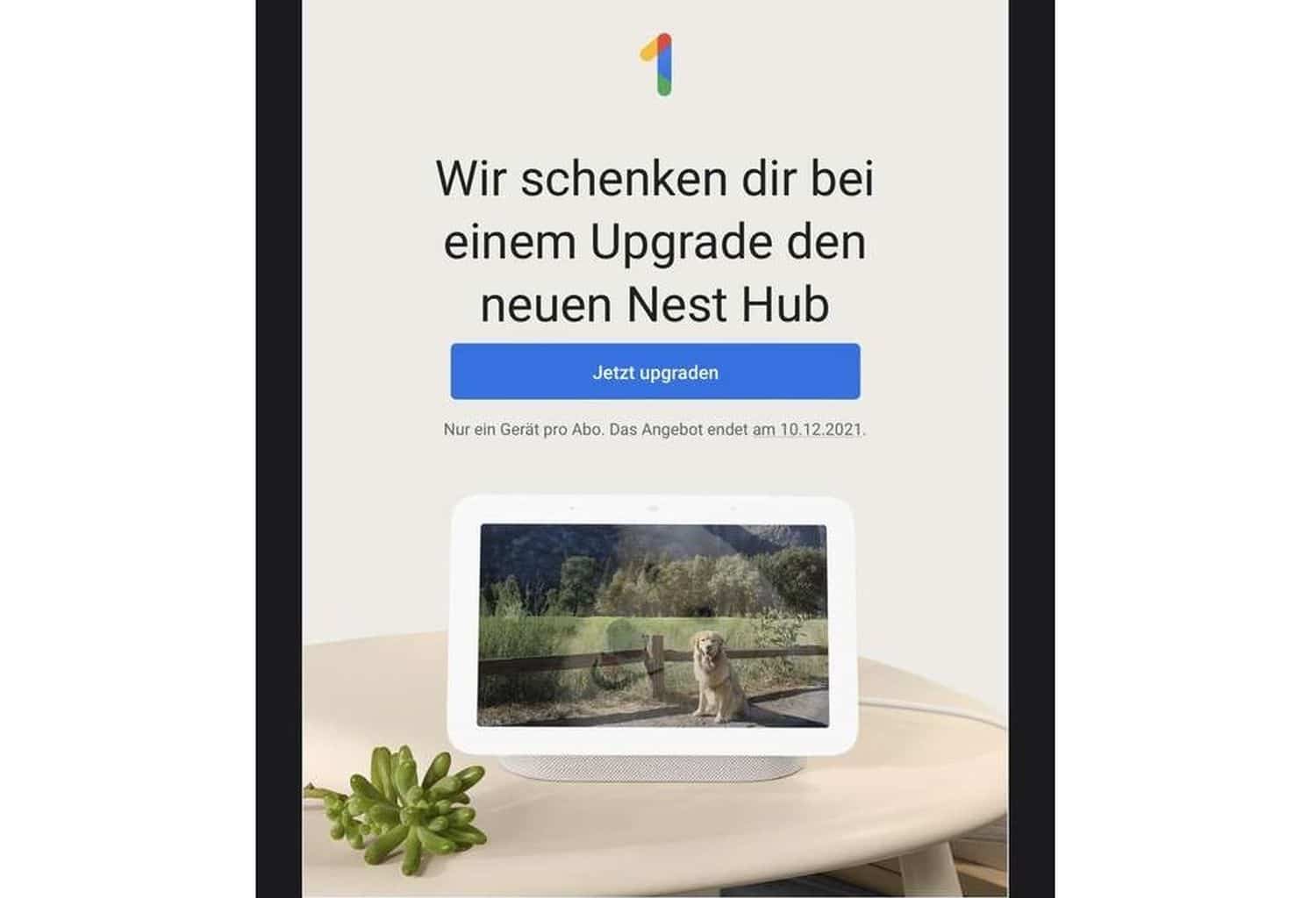 google one deal nest hub smart display cover