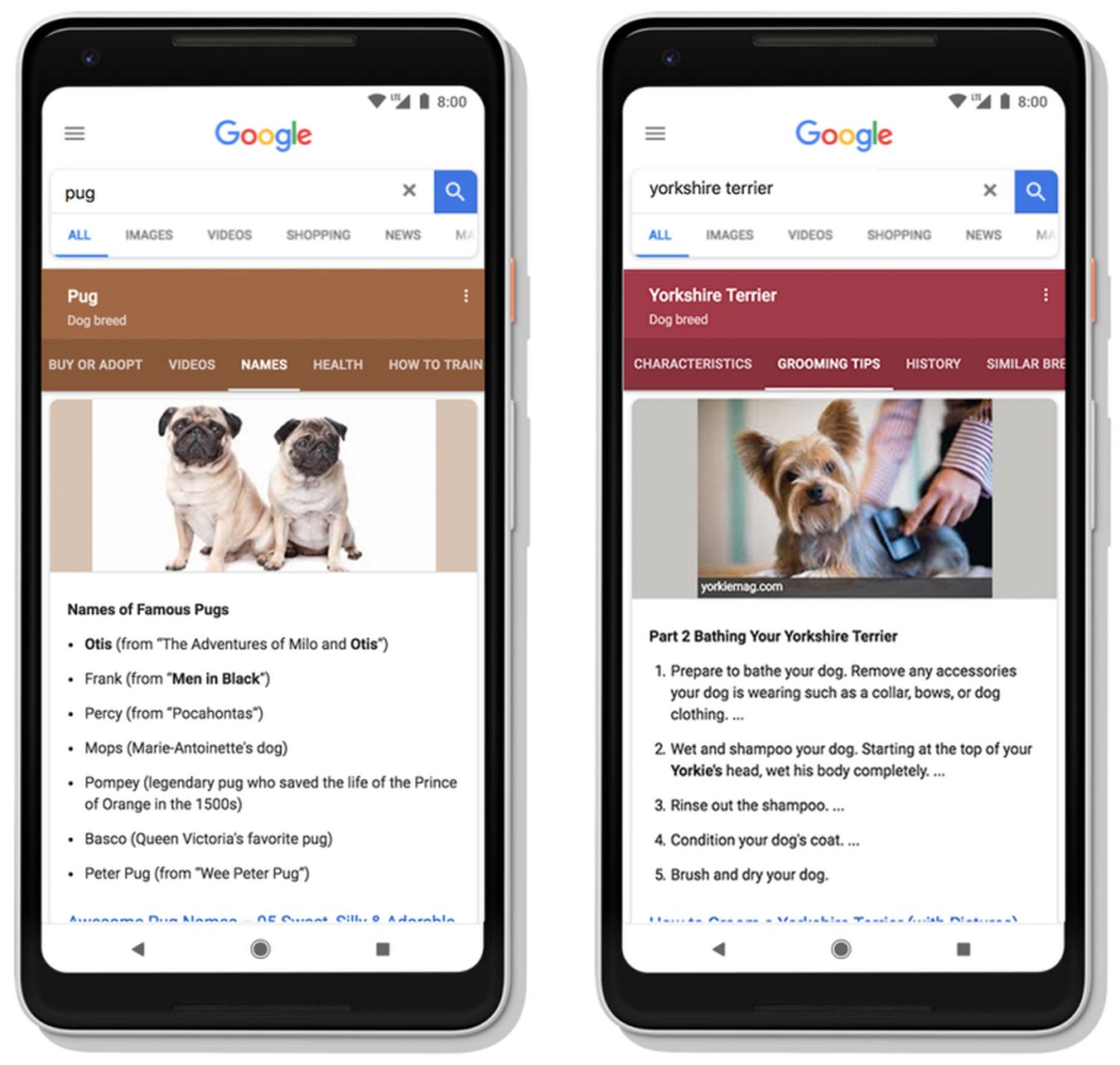 google search topics mobile