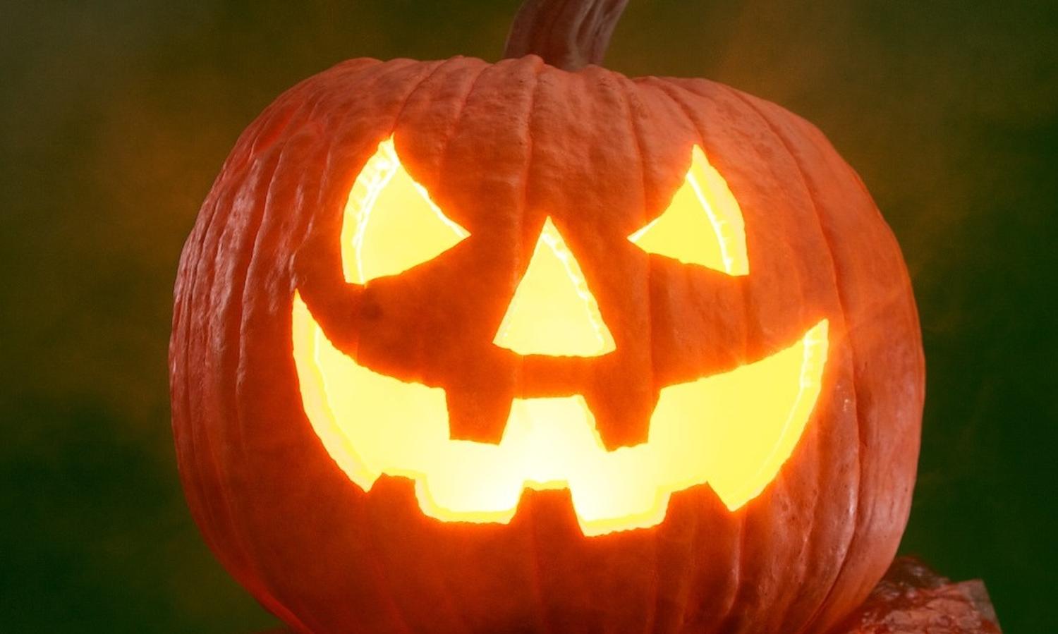 halloween kürbis