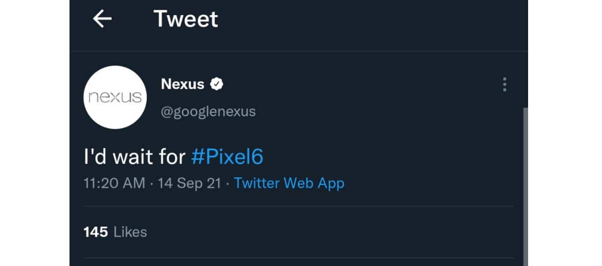 nexus tweet pixel 6