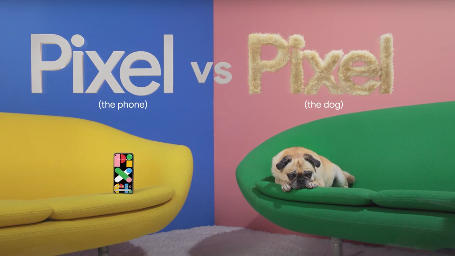 pixel the phone vs pixel the dog