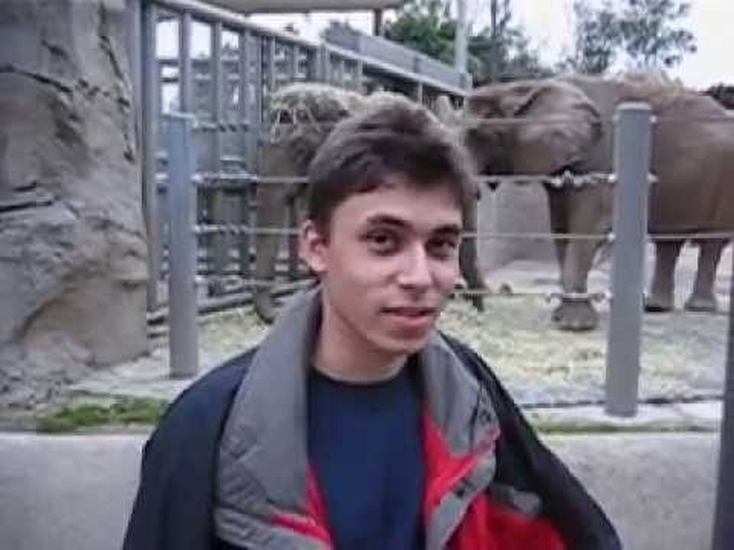 youtube me at the zoo